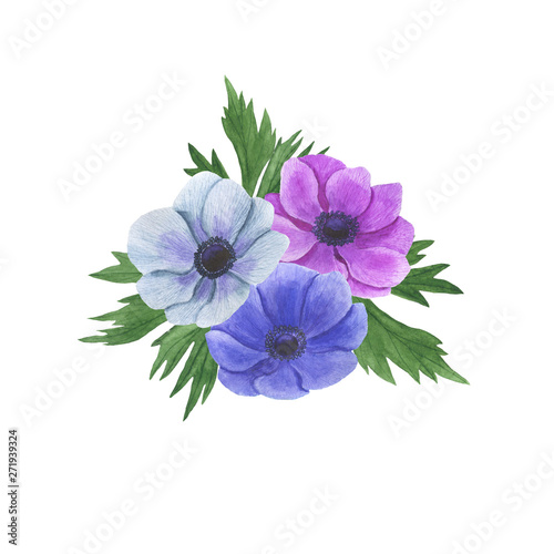 Anemone flowers watercolor illustration set of summer botanical decorations design wedding invitations greeting cards