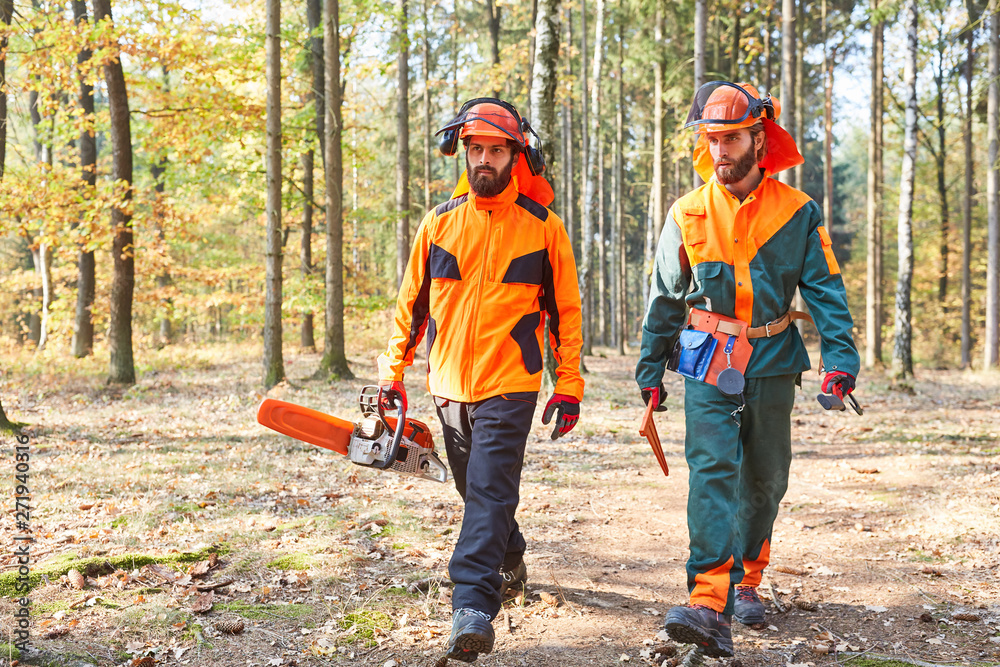 Holzfäller mit Motorsäge und Schutzkleidung im Wald Holzfäller mit Motorsäge und Schutzkleidung im Wald