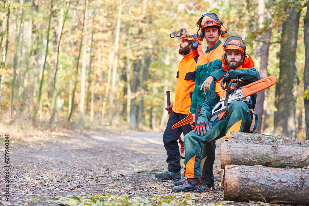 Drei Holzfäller machen Pause bei der Holzernte