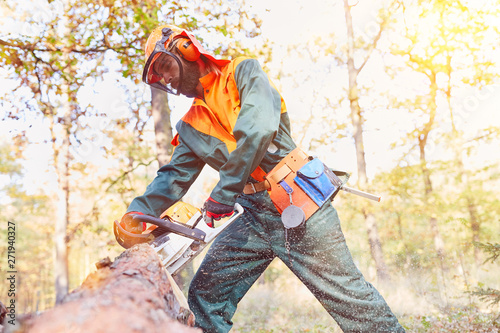Arbeitsschutz bei Holzfäller mit Motorsäge