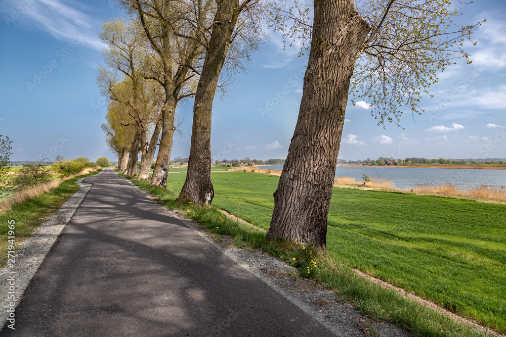 Landscape of village road with old trees and river in the back.