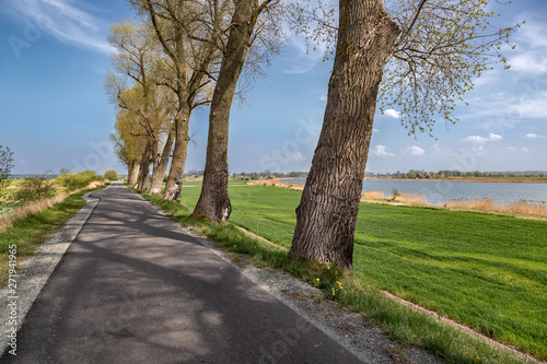 Obraz na płótnie Landscape of village road with old trees and river in the back. w salonie