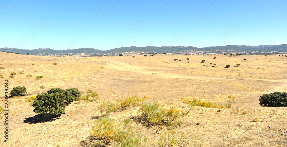 Dry landscape of the Alcudia Valley in summer. Province of Ciudad Real Castilla la Mancha Spain
