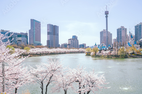 Photography Seokchon lake in spring with cherry blossom in Seoul