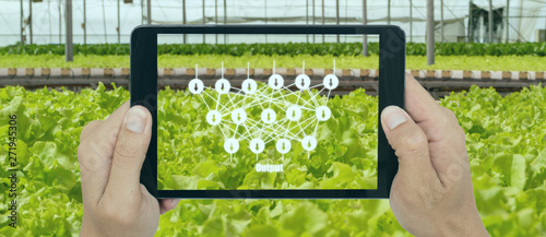 smart agriculture with technoloty concept, farmer use deep learning with artificial intelligence to classification, regression, and clustering. In farming, they are used to predict yield and quality photo