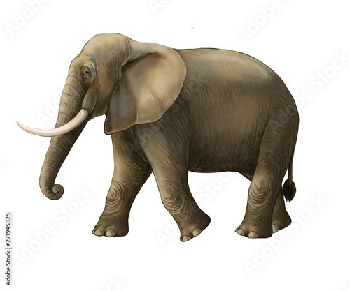 cartoon scene with big elephant on white background safari illustration for children