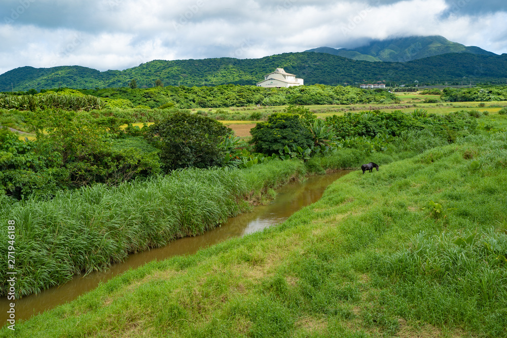 Landscape of Ishigaki Island