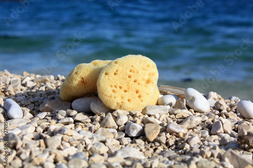 Sea sponges on the sea beach. Face care. Cosmetic.