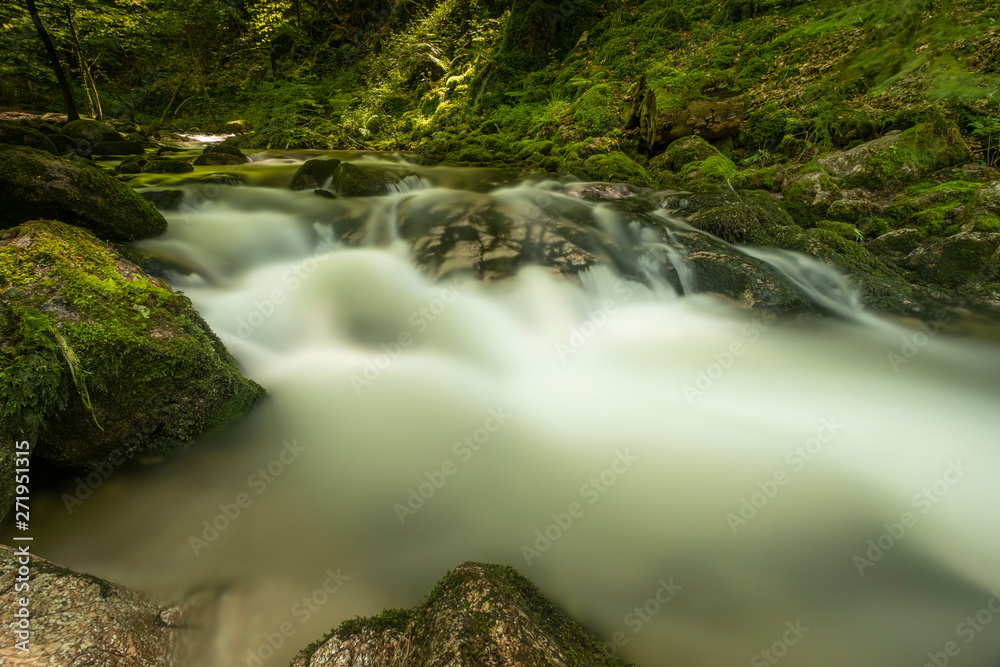 Fototapeta premium Blackforest Waterfall