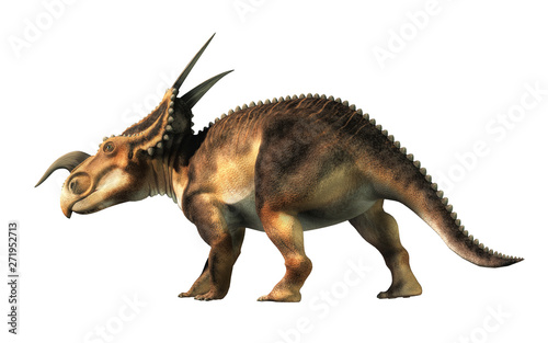 Fototapeta Naklejka Na Ścianę i Meble -  An Einiosaurus on a white background. Einiosaurus was a ceratopsian dinosaur, like the triceratops, from the Cretaceous period. 3D Rendering