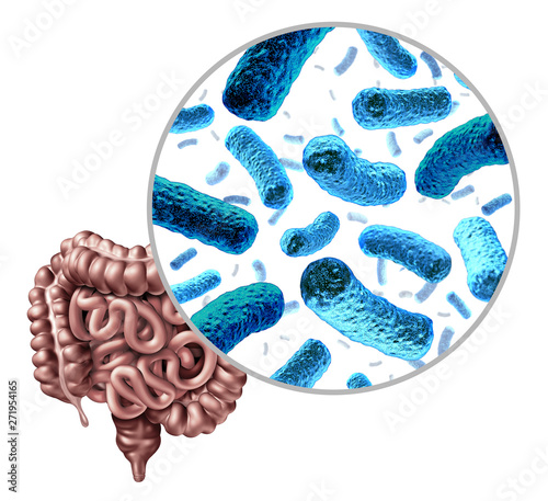 Valokuva Bacteria Intestine
