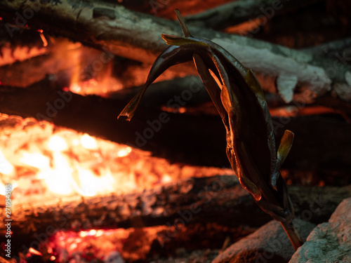 魚 丸焼き 焚き火 キャンプ