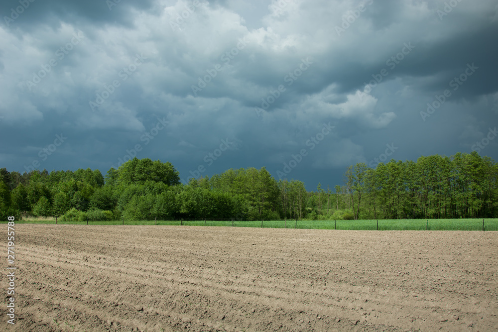 Plowed field, forest and dark storm clouds