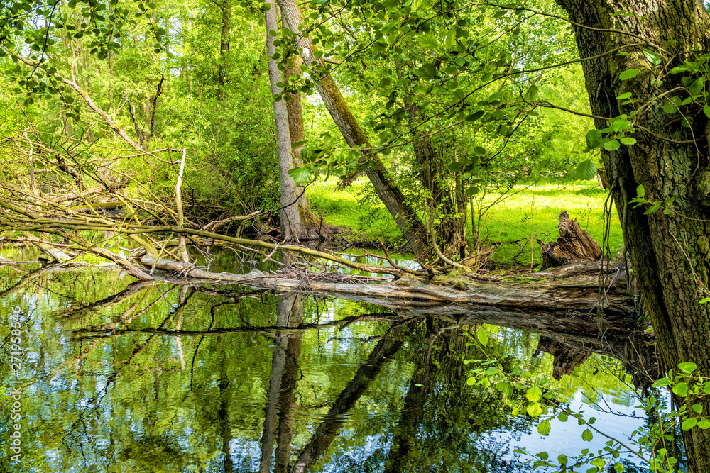 Landschaft und Meditation in Mecklenburg: Im Naturraum Nebeltal bei Kuchelmiß am Krakower See Landschaft und Meditation in Mecklenburg: Im Naturraum Nebeltal bei Kuchelmiß am Krakower See