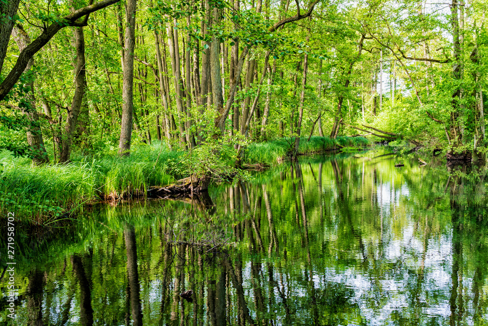 Landschaft und Meditation in Mecklenburg: Im Naturraum Nebeltal bei Kuchelmiß am Krakower See