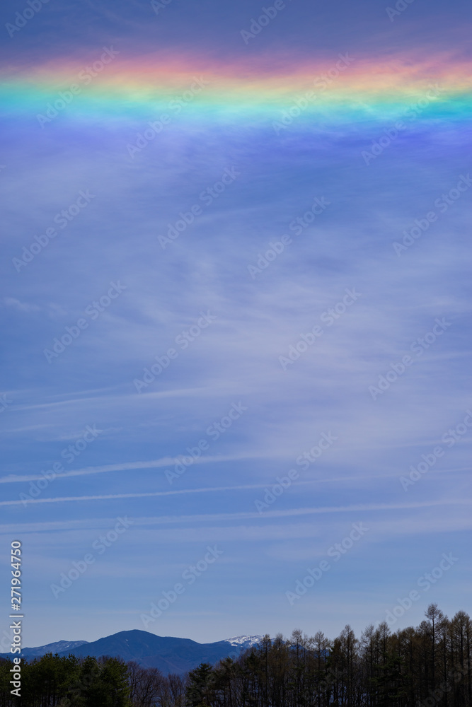 Fototapeta premium 虹