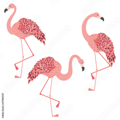 Pink flamingo design
