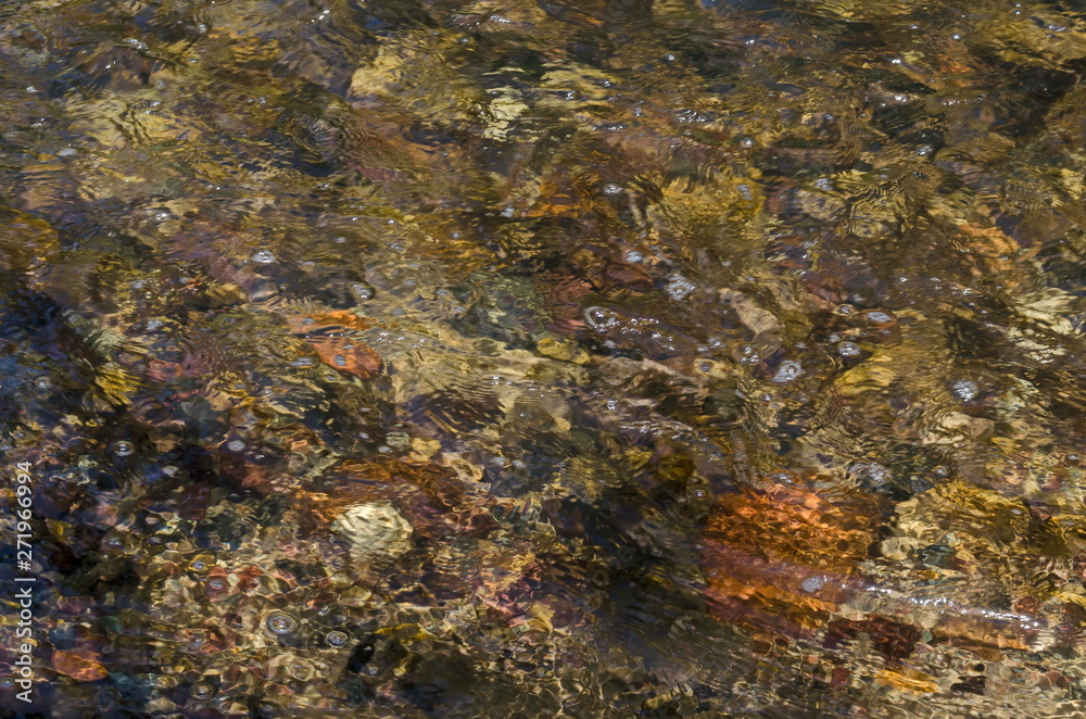 Interesting natural background of water with reflection at river Iskar, Lozen mountain, Bulgaria 