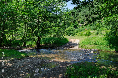   agnetic landscape of summer nature  green deciduous forest and river Iskar with ford in the Lozen mountain  Bulgaria  Europe  