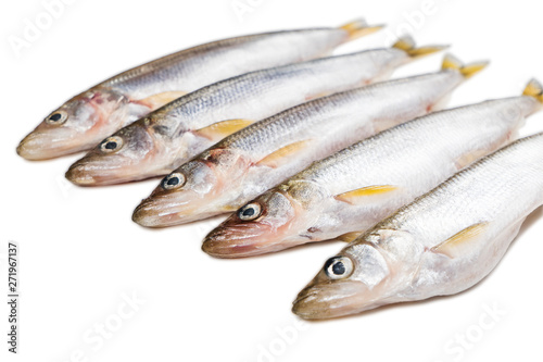 six pieces of isolated deliciouse smelt fish on white background