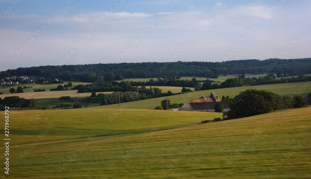 landscape with green fields and blue sky