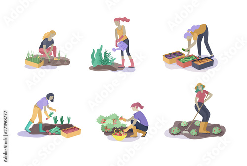 Harvesting and gardening people doing farming and garden job, pick berries, remove weeds, watering, planting, growing and transplant sprouts, lay ripe vegetables to box. Reaping crop concept