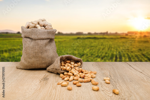 Peanuts in jute sack bag, background is peanut farm, roasted peanuts are poured and overturned