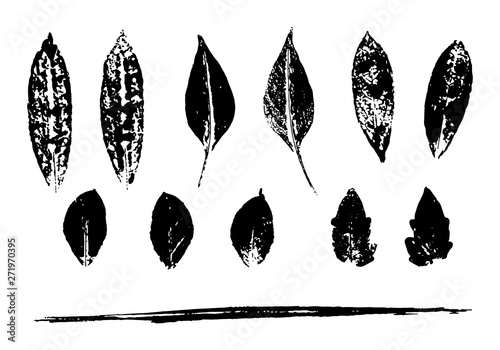 Set of black stamped leaves 