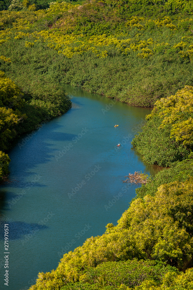 Wailua River, Kauai, Hawaii. The Wailua River is Hawaii’s only navigable stream. Kayaking is popular on this  calm and gentle flowing river.  