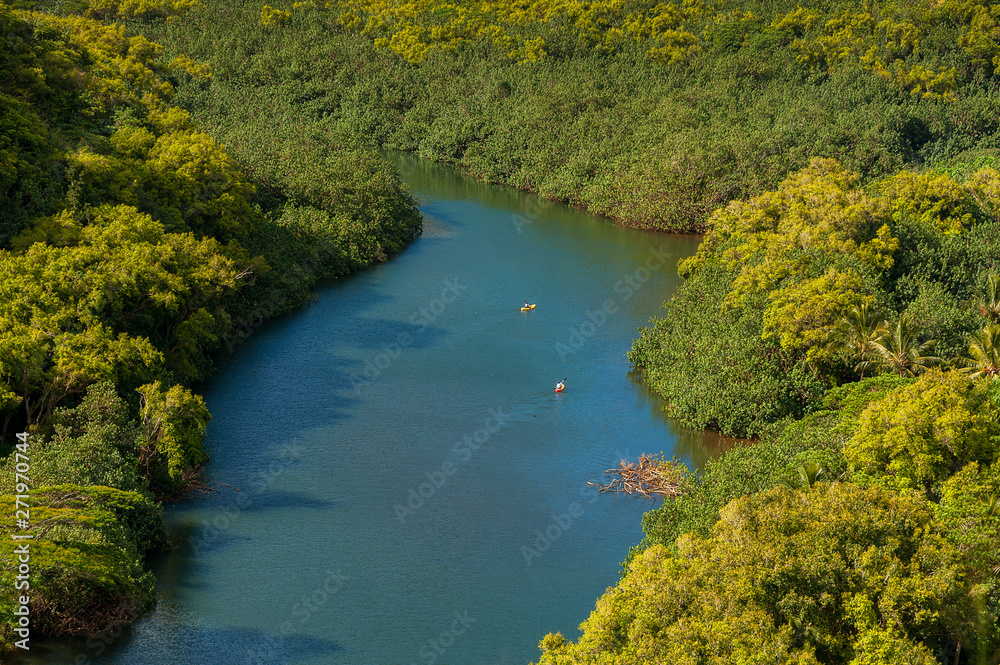 Wailua River, Kauai, Hawaii. The Wailua River is Hawaii’s only navigable stream. Kayaking is popular on this  calm and gentle flowing river.  