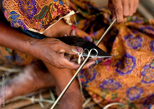 Bru minority woman cutting bamboos, Phonsaad, Laos photo