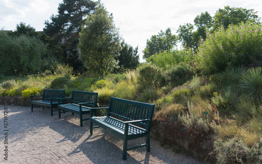 Bänke inmitten einer grünen Sommer-Landschaft im botanischen Garten Bänke inmitten einer grünen Sommer-Landschaft im botanischen Garten