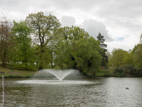 beautiful scene outside in nature with trees and sky