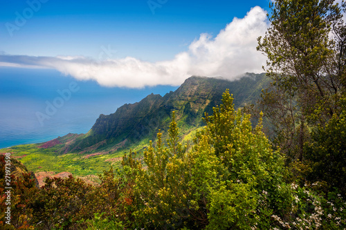 Kalalau Lookout, Kauai, Hawaii. A superb view into the heart of the Kalalau Valley one of the most photographed and well recognized valleys in all of Hawaii featured in many movies and TV shows.