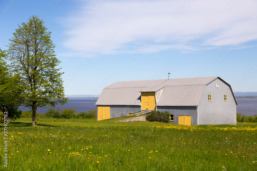Obraz premium Metal-clad barn with yellow doors and window frames set in field covered in dandelion in bloom with the St. Lawrence River and south shore in the background, Island of Orleans, Quebec, Canada