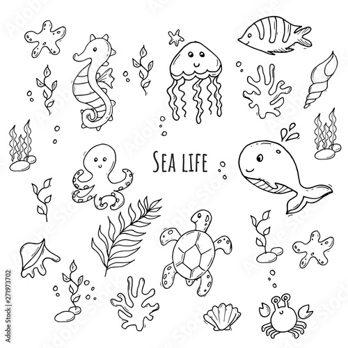 Monochrome set of various sea creatures. Black and white sea life