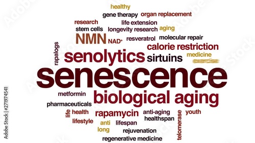 Senescence animated word cloud. Kinetic typography. photo