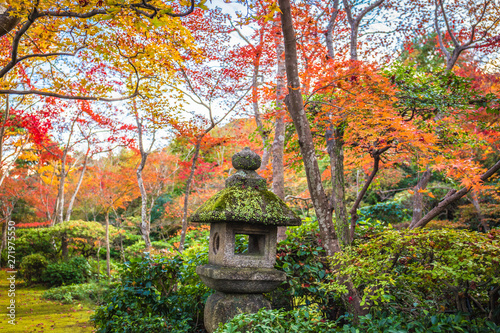 olorful autumn maple trees at Okochi Sanso Garden, Arashiyama, Japan. photo