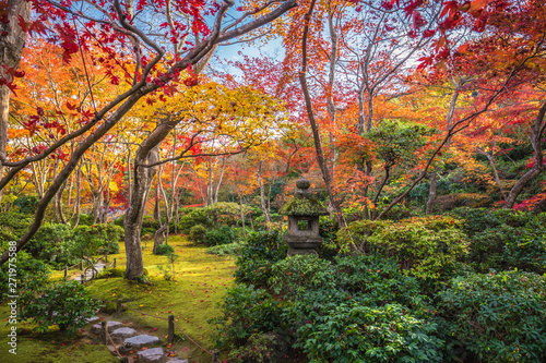 olorful autumn maple trees at Okochi Sanso Garden, Arashiyama, Japan.