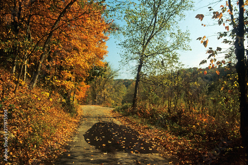 Autumn colors on a quiet country road