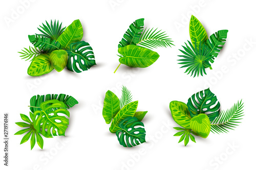 Tropical exotic leaves vector illustrations set isolated on white background. Design element with shadow for poster, web, flyers, invitation, postcard, t-shirt design.