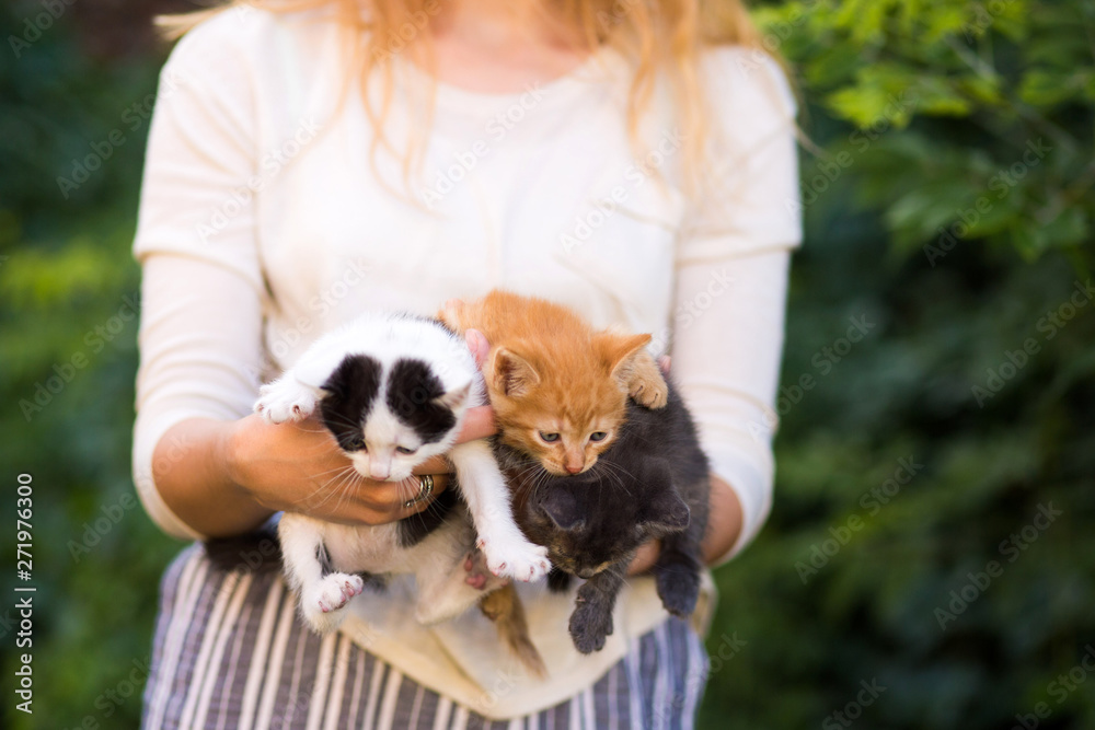 young girl holding three beautiful kittens outdoor adoption concept. homeless kittens. the problem of stray animals