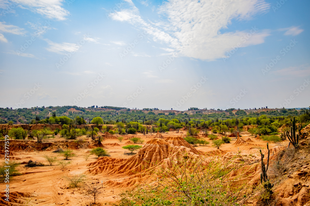 Naklejka premium beautiful desert