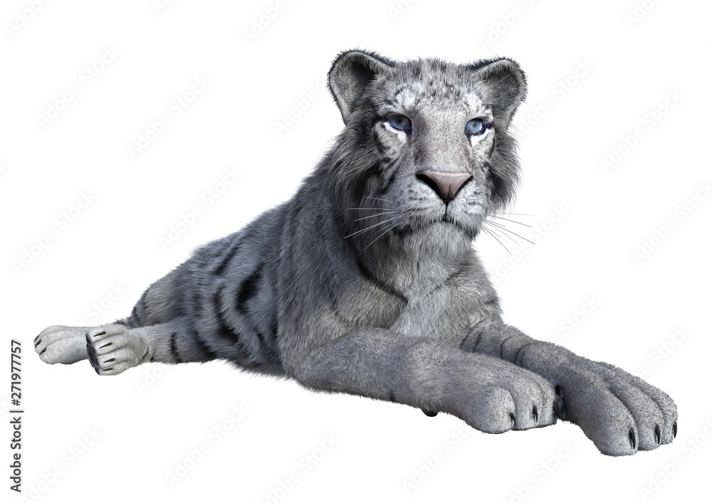 Naklejka premium 3D Rendering White Tiger on White