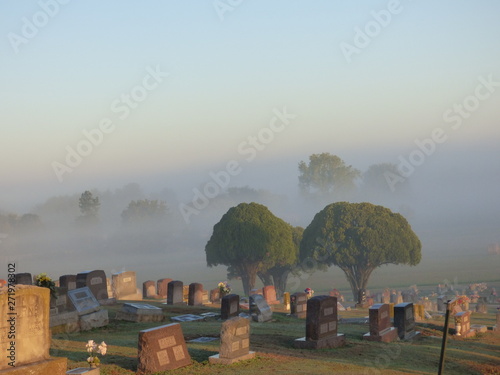 foggy morning