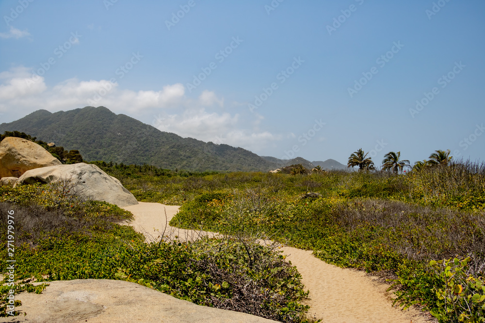 Sandweg durch grünes tropisches Paradies am Meer