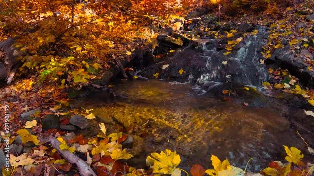 Streams of clear water in a mountain creek in autumn Streams of clear water in a mountain creek in autumn