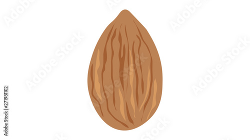 Almond nut isolated vector illustration