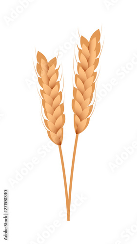 Whole grains ear vector illustration