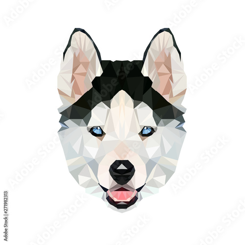 Husky Puppy Siberian Malamute Fluffy Dog Canine Polygon Portrait Head Vector Illustration
